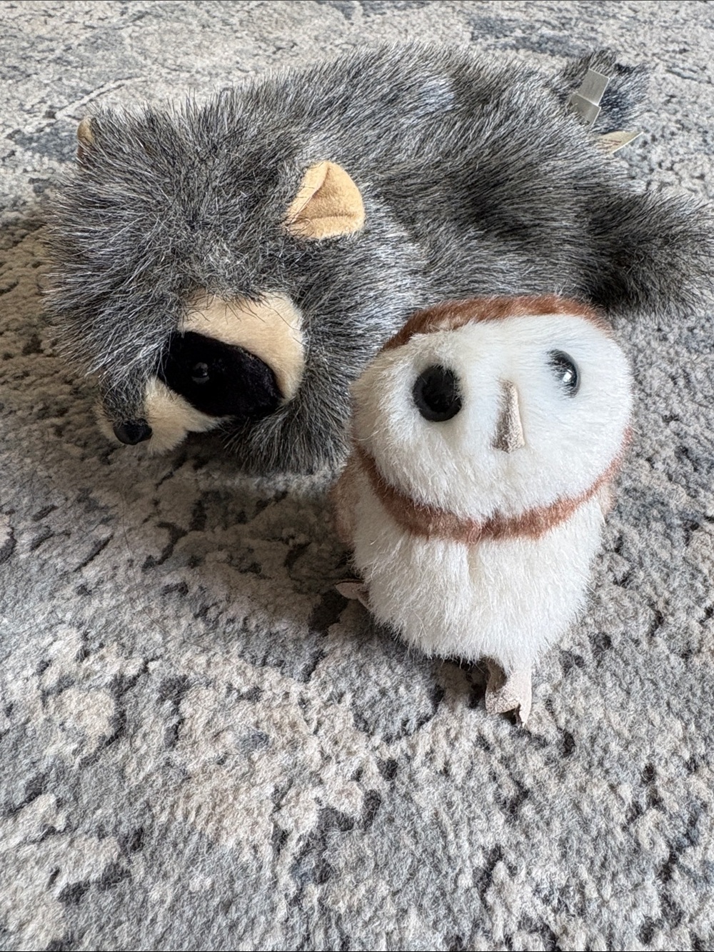 Folkmanis Puppets Raccoon and Owl hand puppets